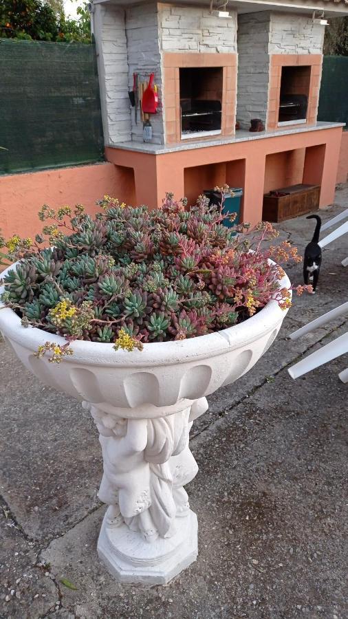Casa Vacanze Mimose パリヌロ エクステリア 写真